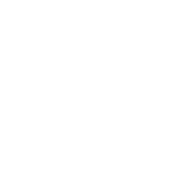 caminodevida